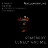 Somebody Lonely and Me Chi Thanh Remix