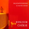 About Bonjour Chérie (Edit) Song