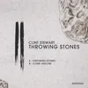 Throwing Stones