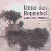 About Unter dem Regendach Song