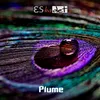 About Plume Song