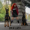 About On A Leash Song