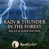 Bruits de pluie dans la forêt