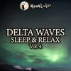 Delta Waves sleeping fast