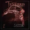 About Tenebris Folge 02 - Cyborg - Der Seelenlose Song