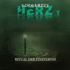 About Schwarzes Herz Folge 02 - Ritual der Finsternis Song