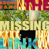 The Missing Link Radio Edit