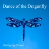 About Dance of the Dragonfly Song