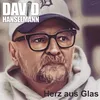 About Herz aus Glas Song