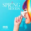 About Springbreak Original Mix Song