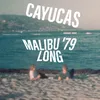 About Malibu '79 Long Song