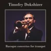 Trumpet Concerto in D Major, D. 22: I. Allegro moderato Transcr. by Timofey Dokshizer