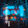 一定是在雨中