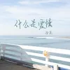 About 什麼是愛情 Song