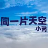 About 同一片天空 Song