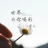 About 世界為你喝彩 Song