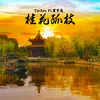 About 桂花孤枝 Song