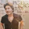 About Pag-Ibig Kong Tunay Song