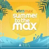 About Summer to the Max Song