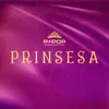 About Prinsesa Song