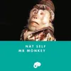 Mr. Monkey