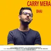 About Carry Mera Bhai Song