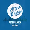 About Breaking View Short Cut Mix Song