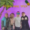 About Скинь мне трек Song