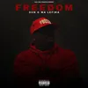 About Freedom Song