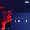 About Kush Song