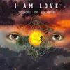 About I Am Love Radio Edit Song