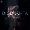 About Dil Dukhta Song