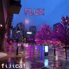 About Flux Song