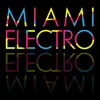 Miami Electro DJ Mix 2