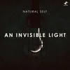 An Invisible Light Robinn Remix