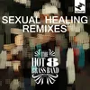 Sexual Healing Werkha Remix