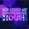 The Sound Of Progressive House DJ Mix 2