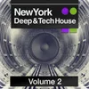 New York Deep & Tech House Volume 2 DJ Mix 1