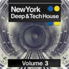 Needin U Paul Woolford House Mix