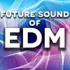 Future Sound of EDM DJ Mix 1