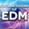 Future Sound of EDM DJ Mix 2