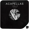 100% House Music Acapella