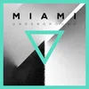 Miami Underground Dantiez Saunderson DJ Mix
