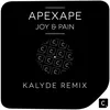 About Joy & Pain Kalyde Remix Song