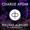 About Feeling Alright Song