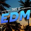 Let The Bass Kick In Miami Bitch JEND Remix