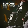 About Вороны Song