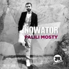About Palili Mosty Song