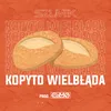 About Kopyto Wielbłąda Song