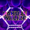 Pakuje Walize